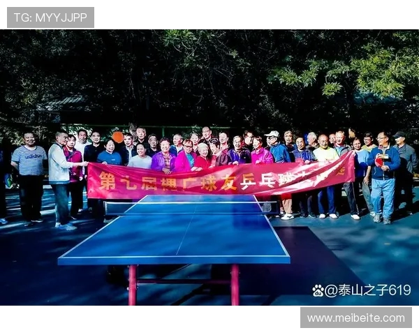 乒乓球运动的魅力与发展探析从国球精神到全民健身新风尚