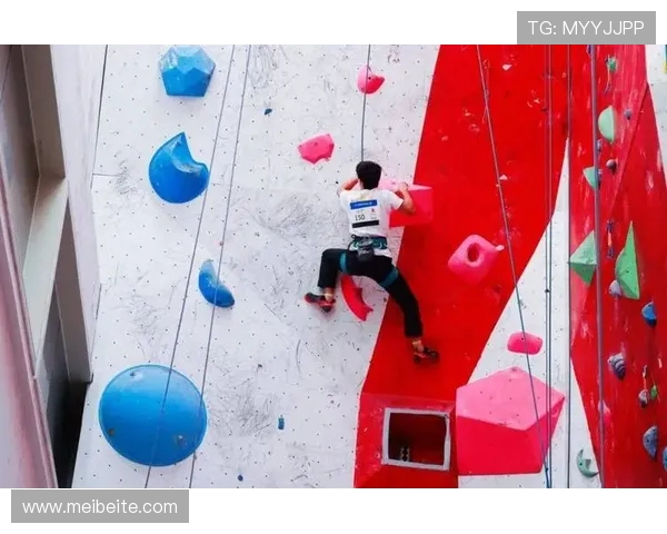 上海飞盘队在攀岩联赛中的比赛经验与表现分析