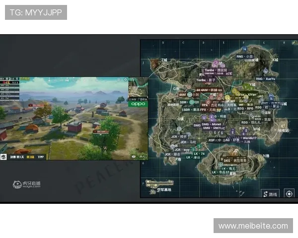 和平精英赛事分析：RNG战队的比赛经验与战术探讨