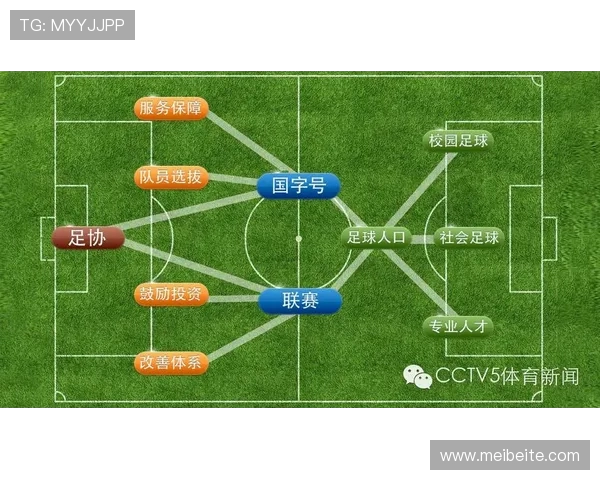 深圳足球队运营新模式探讨与未来发展前景分析