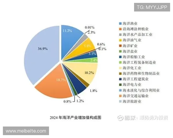 《深入分析Knight中路定位与策略应用探讨》